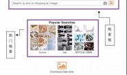 强推 3 个图片检索网站,解锁医学文献检索「二般操作」